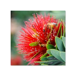 POWIĘKSZENIE FOTOGRAFICZNE 30 x 30 cm